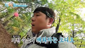 오대산을 뛰어다니는 나(인우)라니를 보았니? 20대 체력이 부러운 종민&세윤! | KBS 221023 방송