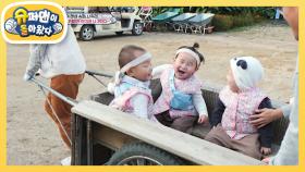 [사유리네] 우량아 클럽 친구들♥ 장난기까지 닮아가는 장꾸 빅 베이비들! | KBS 221028 방송
