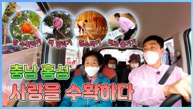사랑❤을 수확하다🚐 - 충남 홍성 [6시N내고향] / KBS대전 방송