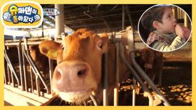 “찐 당황” 소 앞에서 소고기를 외치는 건후! | KBS 221111 방송