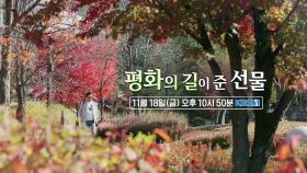 [예고] 평화의 길이 준 선물 | KBS 방송
