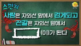 놀라운 실험 결과..!! 전갈은 정말 독(毒)한 동물입니다`(*＞﹏＜*)′ [스펀지레전드] | KBS 041106 방송