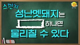 뜻밖의 무기(?) 멧돼지의 깜놀 버튼은 이것!!ㅋㅋㅋㅋ[스펀지레전드] | KBS 041127 방송