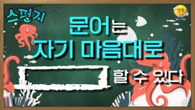 자연의 신비! 연체동물이라 가능한건가..? [스펀지 레전드] | KBS 050115 방송