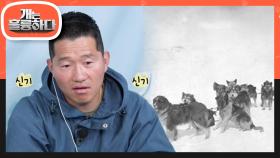 강 훈련사도 반했다?! 개 썰매 경주 대회 ‘Iditarod’의 모든 것!🛷 | KBS 230403 방송