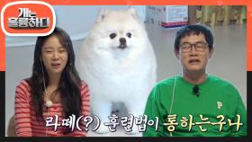 계속 짖는 고민犬 목화에 냅다 같이 짖어버리는 수석 제자 경규X견습생 승연?!🤣 | KBS 230403 방송