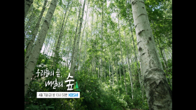 [예고] 우리들의 숲, 내일의 숲 | KBS 방송