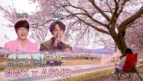 봄, 이젠 안녕🖐 서산 해미천 벚꽃🌸 보며 듣는 #성시경 #이석훈 노래 Playlist / KBS 방송