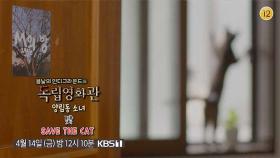 [예고] 봄날의 인디그라운드전 ＜양림동 소녀＞, ＜닻＞ , ＜SAVE THE CAT＞ | KBS 방송