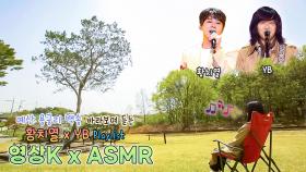 예산 용궁리 백송🤍 바라보며 듣는 황치열 윤도현 노래 Playlist 🎧 / KBS 방송