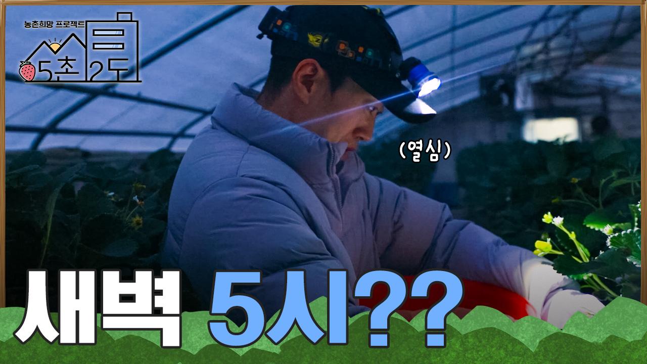 부지런한 귀농인 되기 쉽지 않네... [5촌 2도 IN 논산] / KBS대전 20230502(화) 방송 | ZUM TV