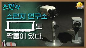 [ ]도 짝퉁이 있다. [스펀지 레전드] | KBS 050319 방송