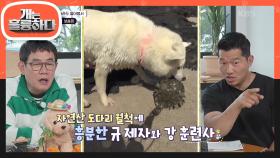물질하는 해녀犬 보솜이! 자연산 도다리 월척에 흥분한 규 제자와 강 훈련사🤣 | KBS 230605 방송