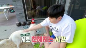 [미공개] 민이에게 귀여운 강아지 친구가 생겼어요🐶 흰둥이를 잘 챙겨주고있는 민이 모습에 윤아는 뿌듯😊 | KBS 방송