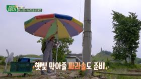 충남 서산의 금빛 물결을 준비하는 논밭의 신축 주택? | KBS 230622 방송