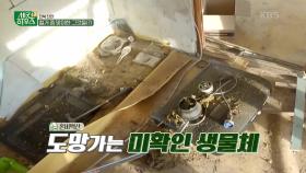 진안의 세컨 하우스 실황, 철거중 맞이한 불편한 손님들 | KBS 230622 방송