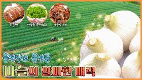자꾸만 손이가요🖐 마늘의 알싸한 매력 - 충남 홍성 20210601 [6시N내고향] / KBS 방송
