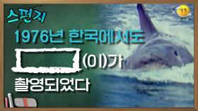 1976년 한국에서는 [ ](이)가 촬영되었다. [스펀지 레전드] | KBS 050402 방송