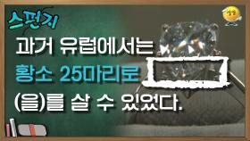 과거 유럽에서는 황소 25마리로 [ ] (을)를 살 수 있었다. [스펀지 레전드] | KBS 050402 방송