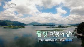 [예고] 팔당, 더불어 살다 | KBS 방송