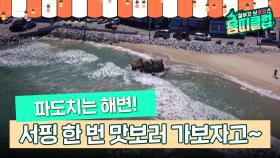 낭만넘치는 용띠클럽의 해변 서핑🏄🏻‍♂️ [철부지 브로망스 용띠클럽 11화] | KBS 171128 방송