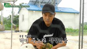 눈 뜨자마자 텃밭과 동물 친구들을 챙기는 주상욱의 모닝 루틴😋 | KBS 230810 방송
