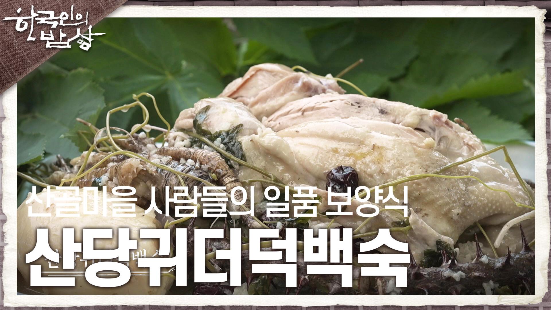 무더운 여름이 두렵지 않은 이유, 산골마을 사람들의 일품 보양식 ‘산당귀더덕백숙’ | KBS 230817 방송 | ZUM TV