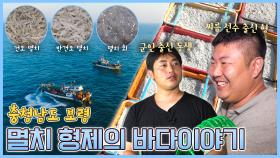 멸치 형제의 바다 이야기 - 충남 보령 [6시N내고향] / KBS 방송