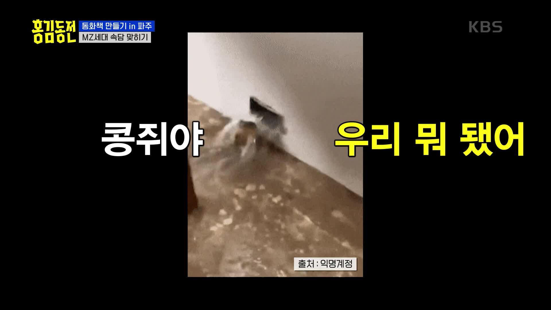 콩쥐야...우리 큰일났어...인터넷 사진을 보고 문제를 맞춰야 한다? | KBS 231005 방송 | ZUM TV