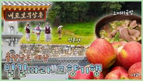 발길따라👣 고향기행 - 충남 예산 [6시N내고향] / KBS 방송