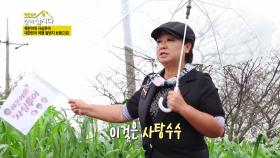 혜은이의 사심투어, 대한민국 여행 일번지 보령으로! | KBS 231022 방송