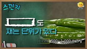 [ ]도 재는 단위가 있다. [스펀지 레전드] | KBS 050514 방송