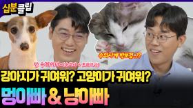 [#십분클립] 동물 척척 박사!🐶🐱냥아빠&멍아빠와 함께하는 강아지와 고양이 탐구 시간🔍ㅣ KBS방송