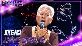 패티김 - 사랑은 생명의 꽃 | KBS 231118 방송