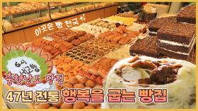 47년 제빵 인생👨‍🍳 행복을 굽는 빵집🥐 - 충남 당진 [6시N내고향] / KBS 방송