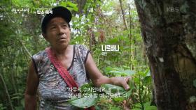 생존의 공간이 된 숲, 탄소 배출권의 뒷면 | KBS 240111 방송