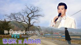 공주 신달리 버드나무 보며 듣는 #조명섭 노래 🎤 ㅣKBS 대전 방송