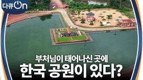 부처님이 태어나신 룸비니 동산에 한국 공원이 있다 | KBS 240302 방송