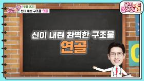 [명의 명답] 이동원 명의의 미니 특강 ‘신이 내린 완벽한 구조물 연골’ | KBS 240313 방송