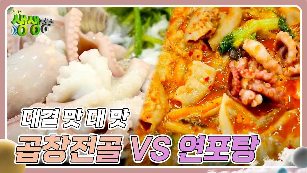 대결 맛 대 맛 : 낙지 곱창전골 VS 산낙지 연포탕 | KBS 240320 방송 | ZUM TV