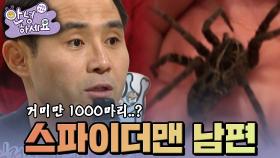 내 남편은 스파이더맨🤣 [안녕하세요] | KBS 121224 방송