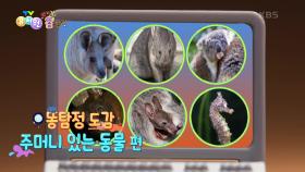 [뿌지직 똥 탐정] 열려라! 똥 탐정 도감 〈주머니 있는 동물〉 편🧐 | KBS 240326 방송