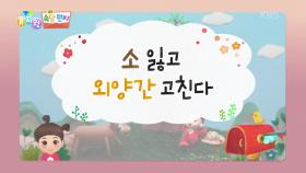 [쏙쏙 속담 편지] 소 잃고 외양간 고친다 | KBS 240328 방송