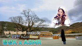청양 청소리 버드나무 바라보며 듣는 #오유진 노래 💗 / KBS 대전방송