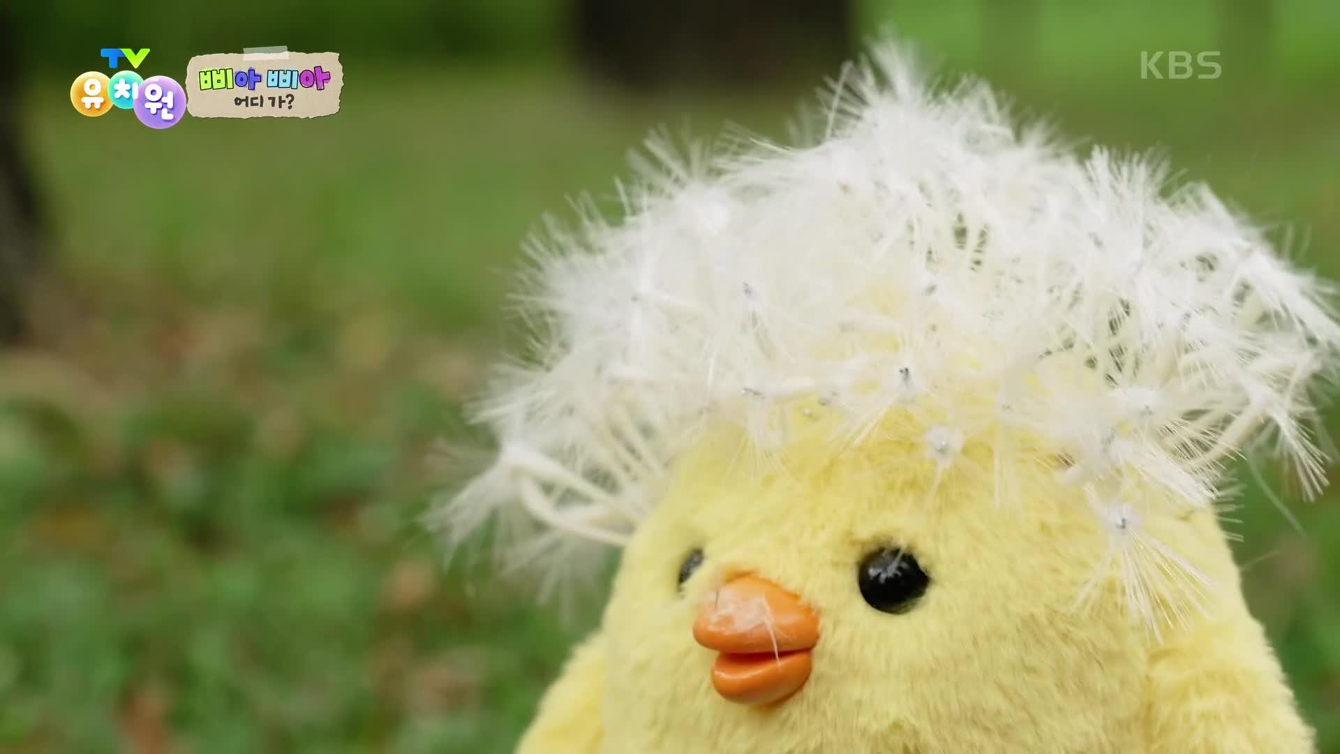 [삐아 삐아 어디 가?] 머리 하는 날 | KBS 240417 방송 | ZUM TV