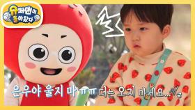 [김준호네] 딸기 인형들과 마주한 딸기 왕자 은우의 반응은?? | KBS 240421 방송