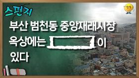 부산 범천동 중앙재래시장 옥상에는[ ] 이 있다 [스펀지 레전드] | KBS 050820 방송