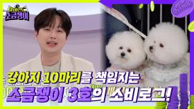 행복 10배! 돈도 10배! 강아지 10마리를 책임지는 소금쟁이 3호의 소비로그😉 | KBS 240521 방송