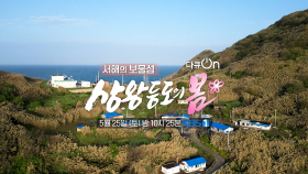 [예고] 서해를 품은 보물섬 상왕등도의 봄 [다큐 ON] | KBS 방송