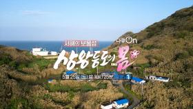 [예고] 서해의 보물섬, 상왕등도의 봄 | KBS 방송